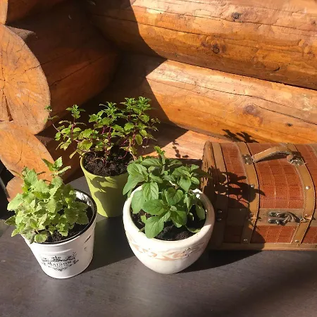 Excellent Log House With A Sauna In Lahemaa! Hara