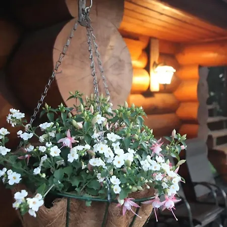 Chalet Excellent Log House With A Sauna In Lahemaa!
