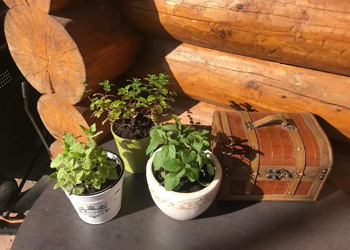 Excellent Log House With A Sauna In Lahemaa! Hara