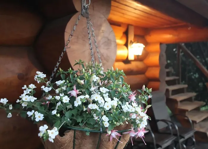 Chalet Excellent Log House With A Sauna In Lahemaa!