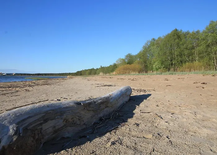 Excellent Log House With A Sauna In Lahemaa! شاليه Hara