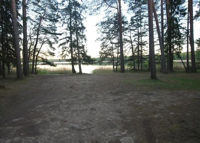 Excellent Log House With A Sauna In Lahemaa! *